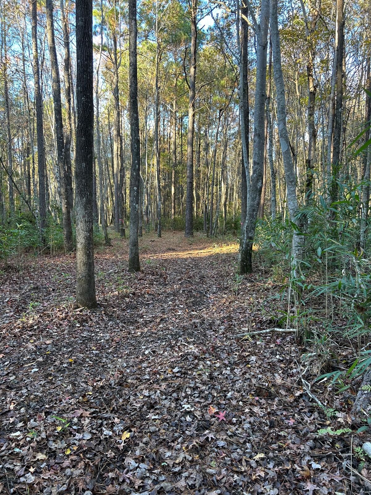Hole 8