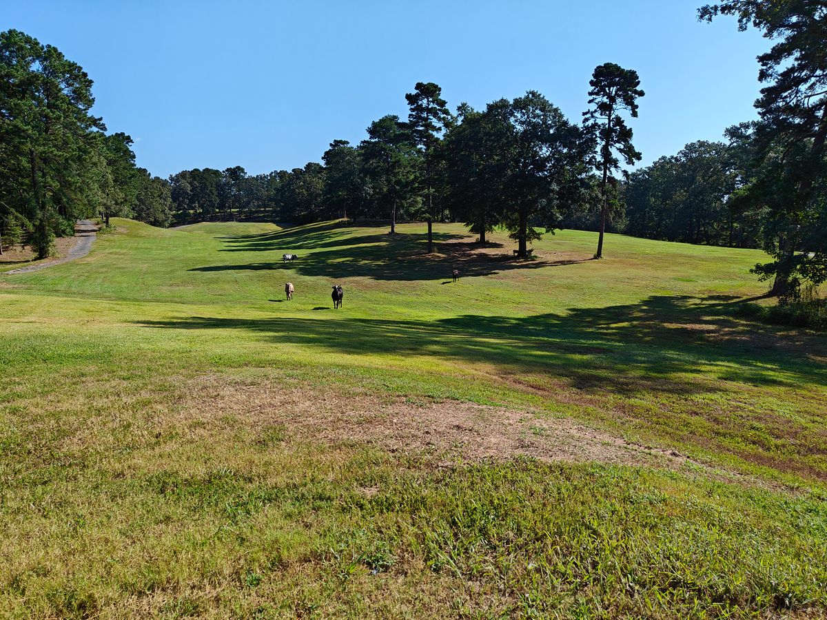 My view from the 8th tee box.