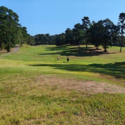 My view from the 8th tee box.