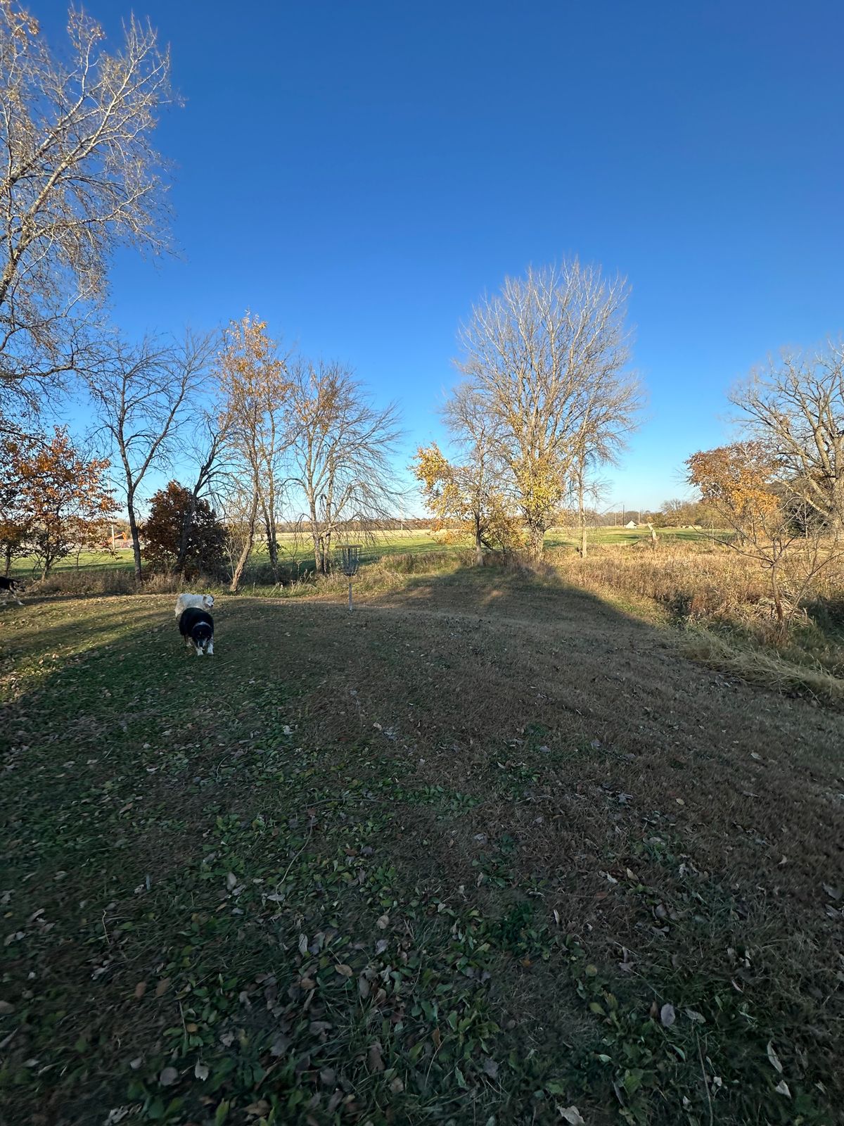 Pin and green hole 7