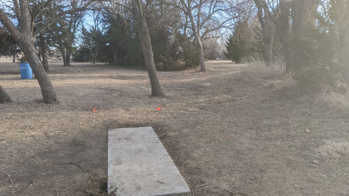 Tee #7