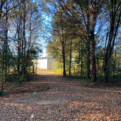 Hole 8. Tricky right to left shot out of the woods