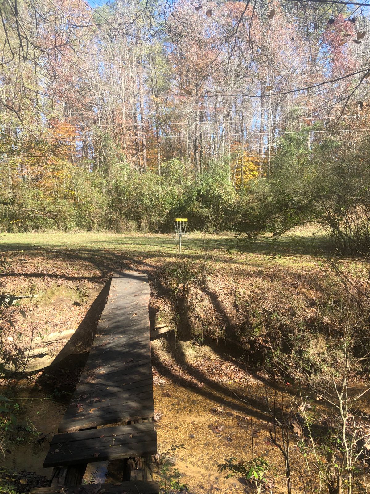 Hole 8 basket