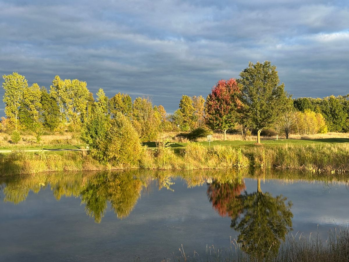 Hole 6 Basket
