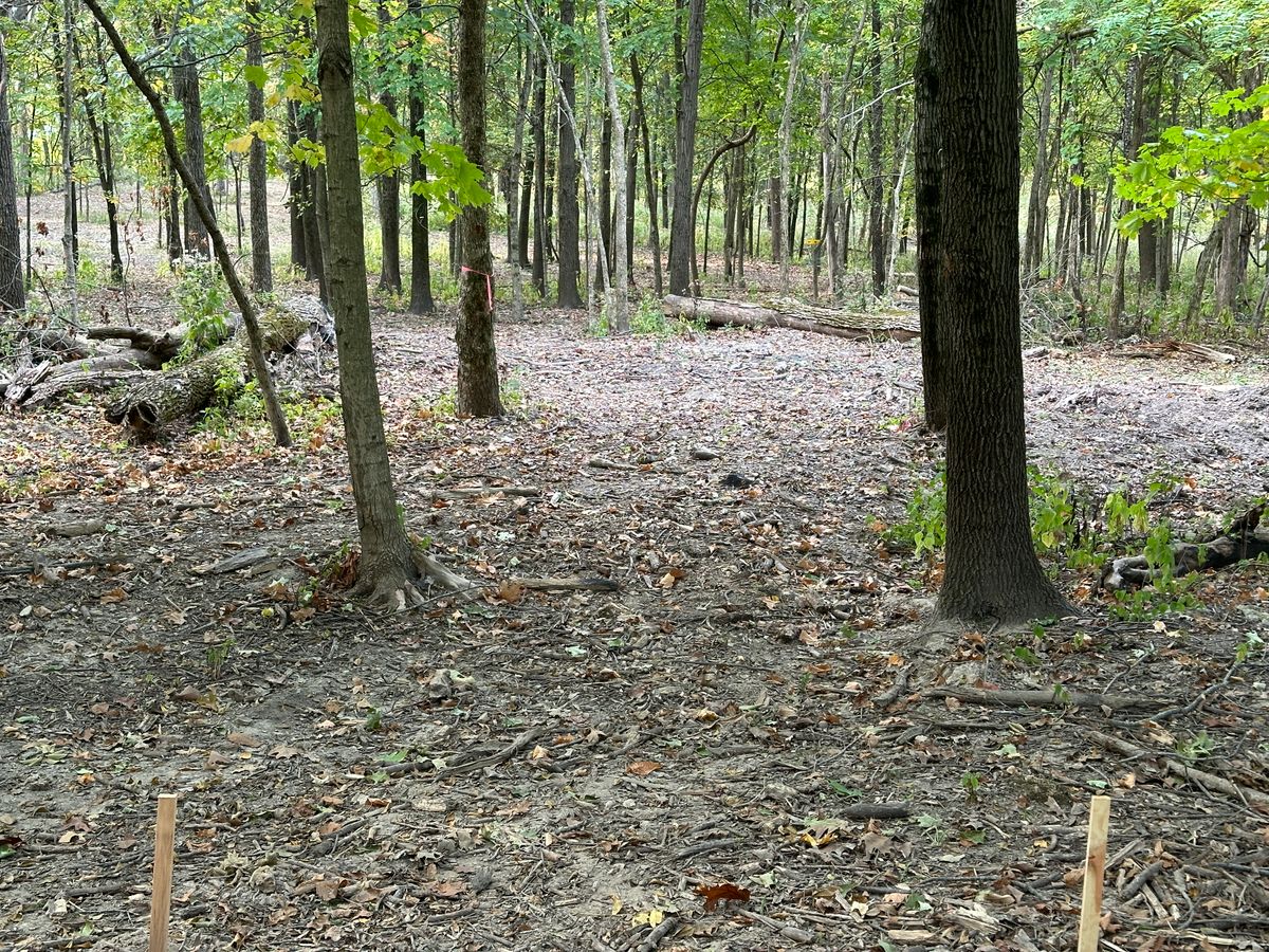 Hole 16 Tee