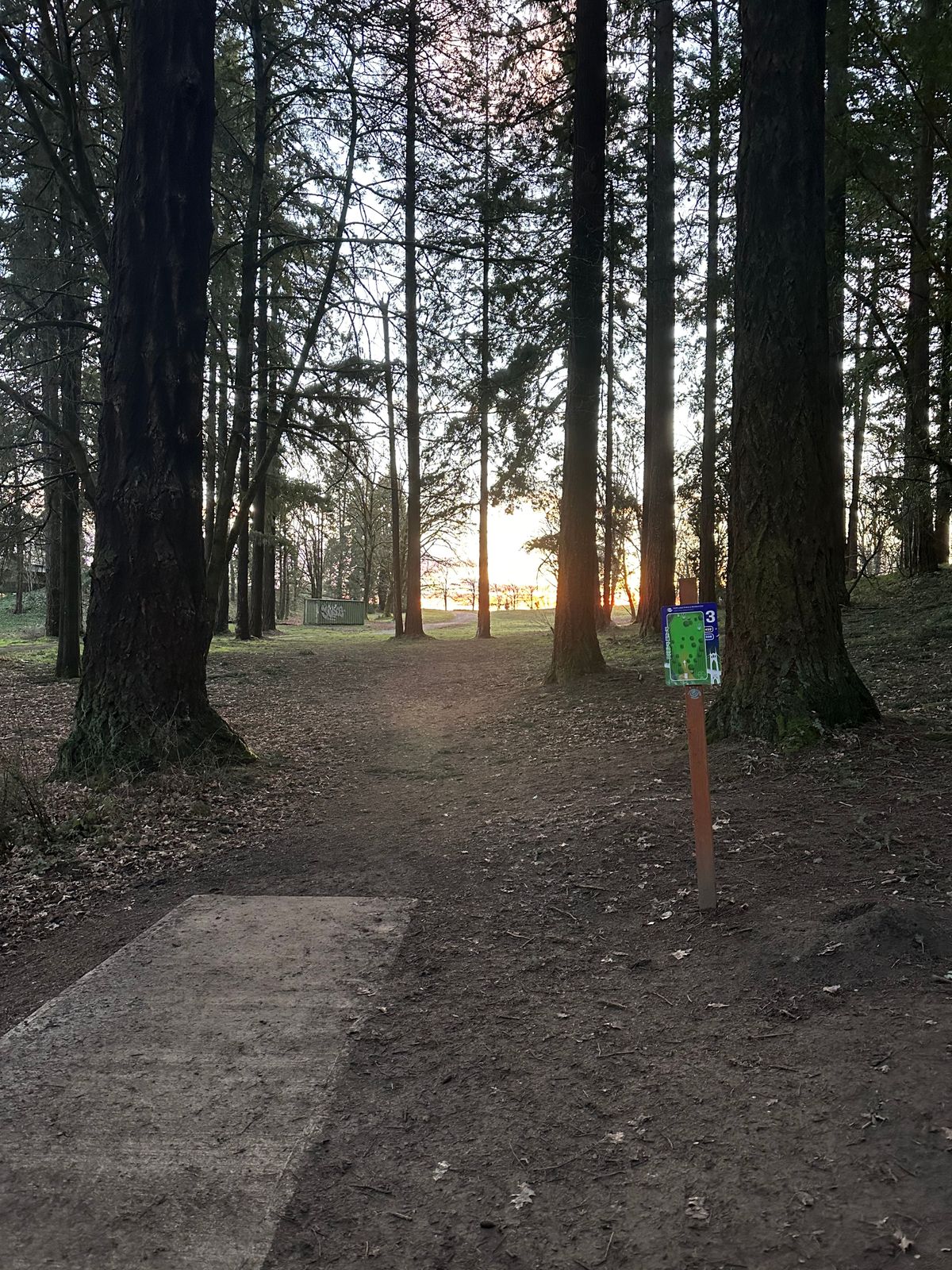 Winter number 3 during a morning round.