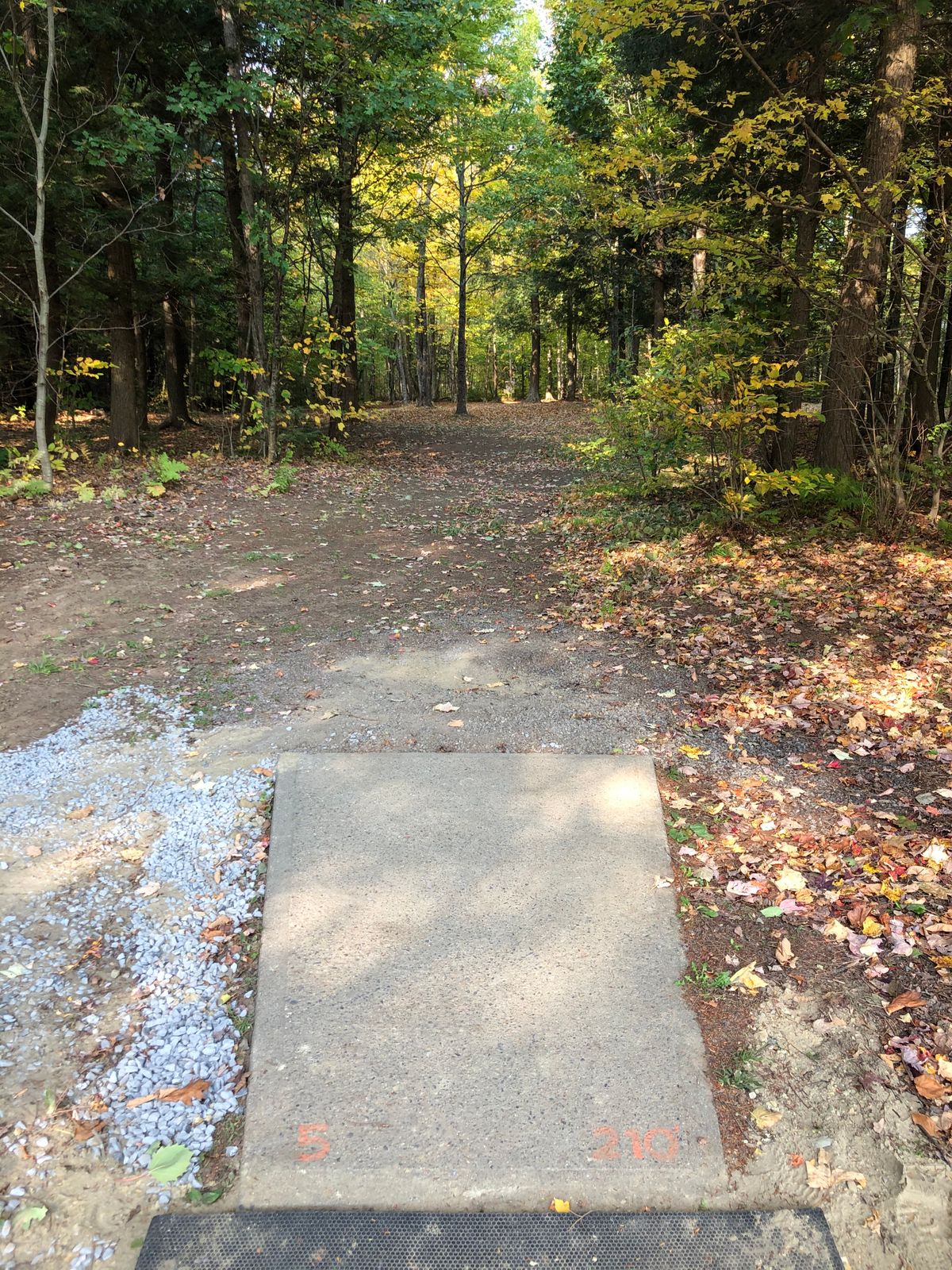 Hole 5 tee