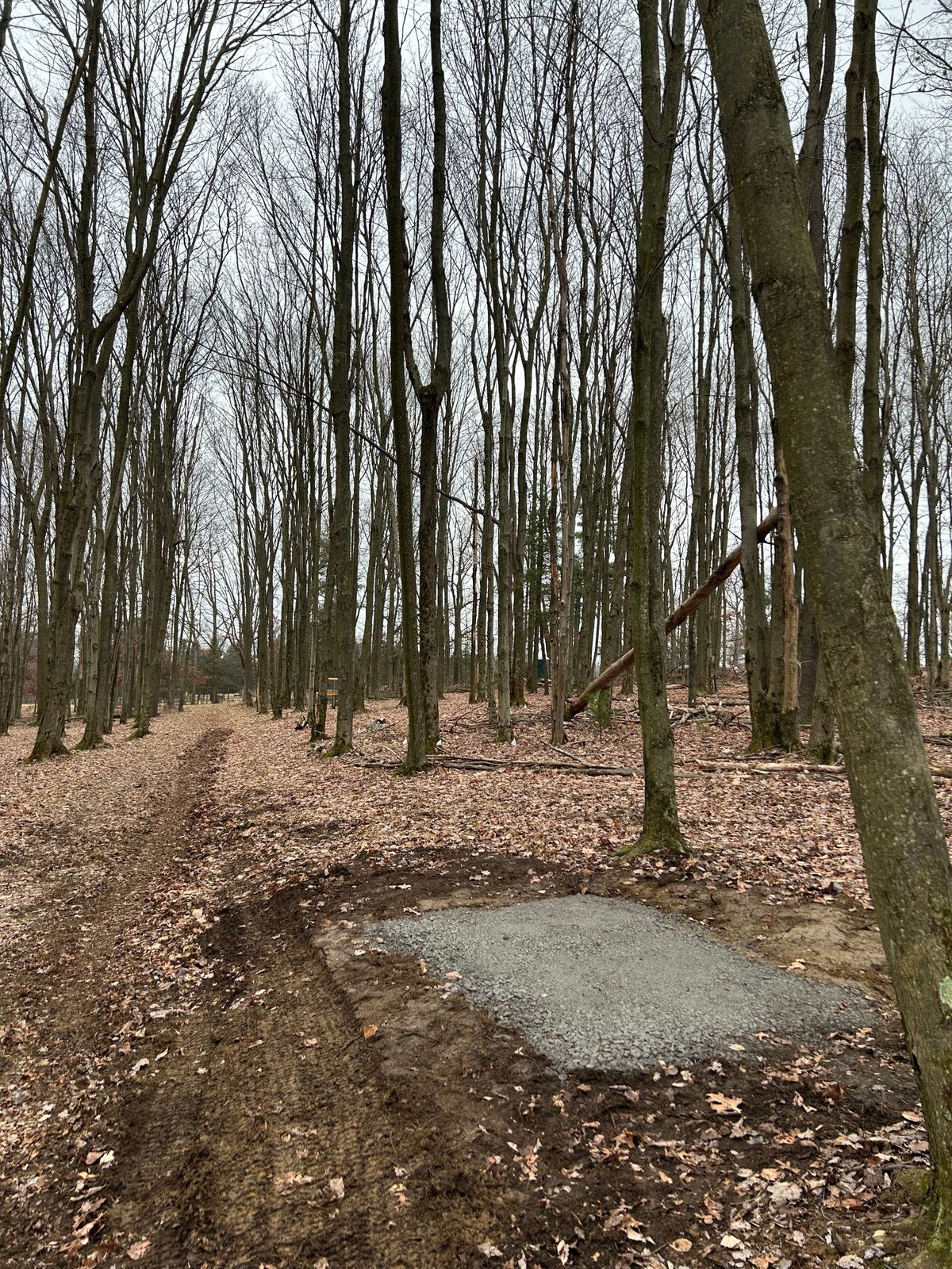 Hole 9 Red tee