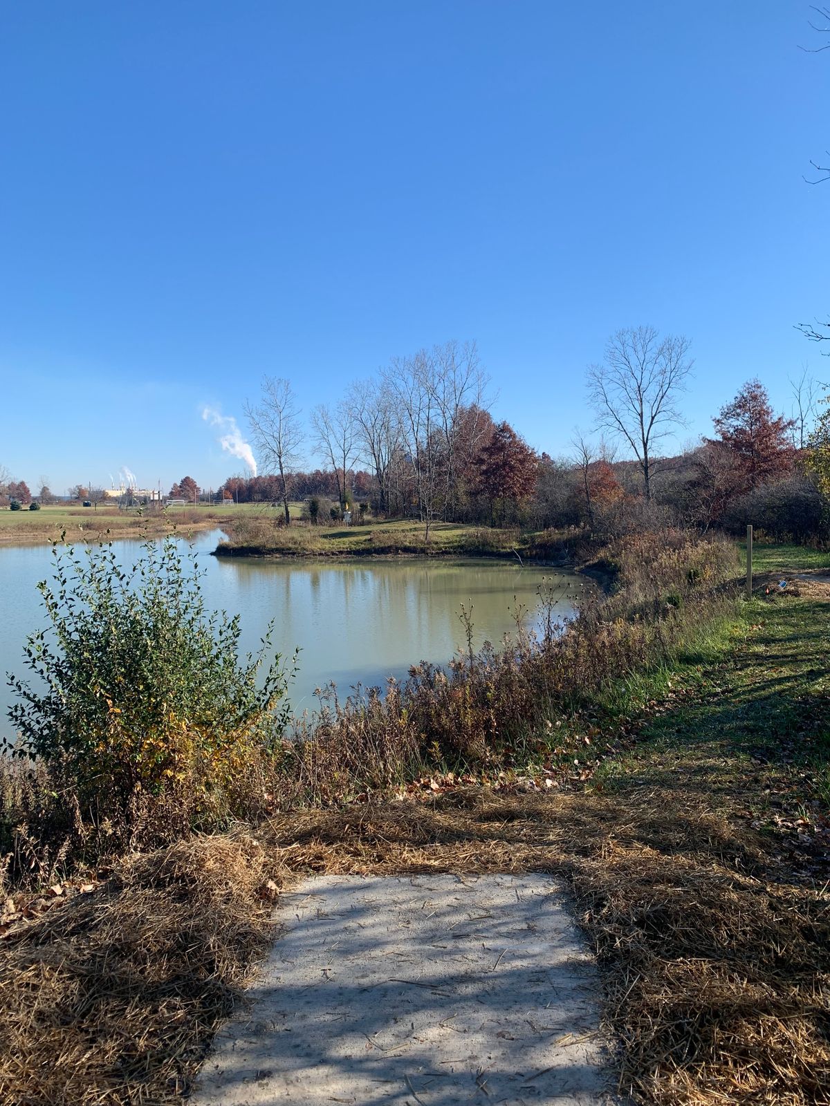 Hole 14 - Pro Tee