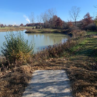 Hole 14 - Pro Tee
