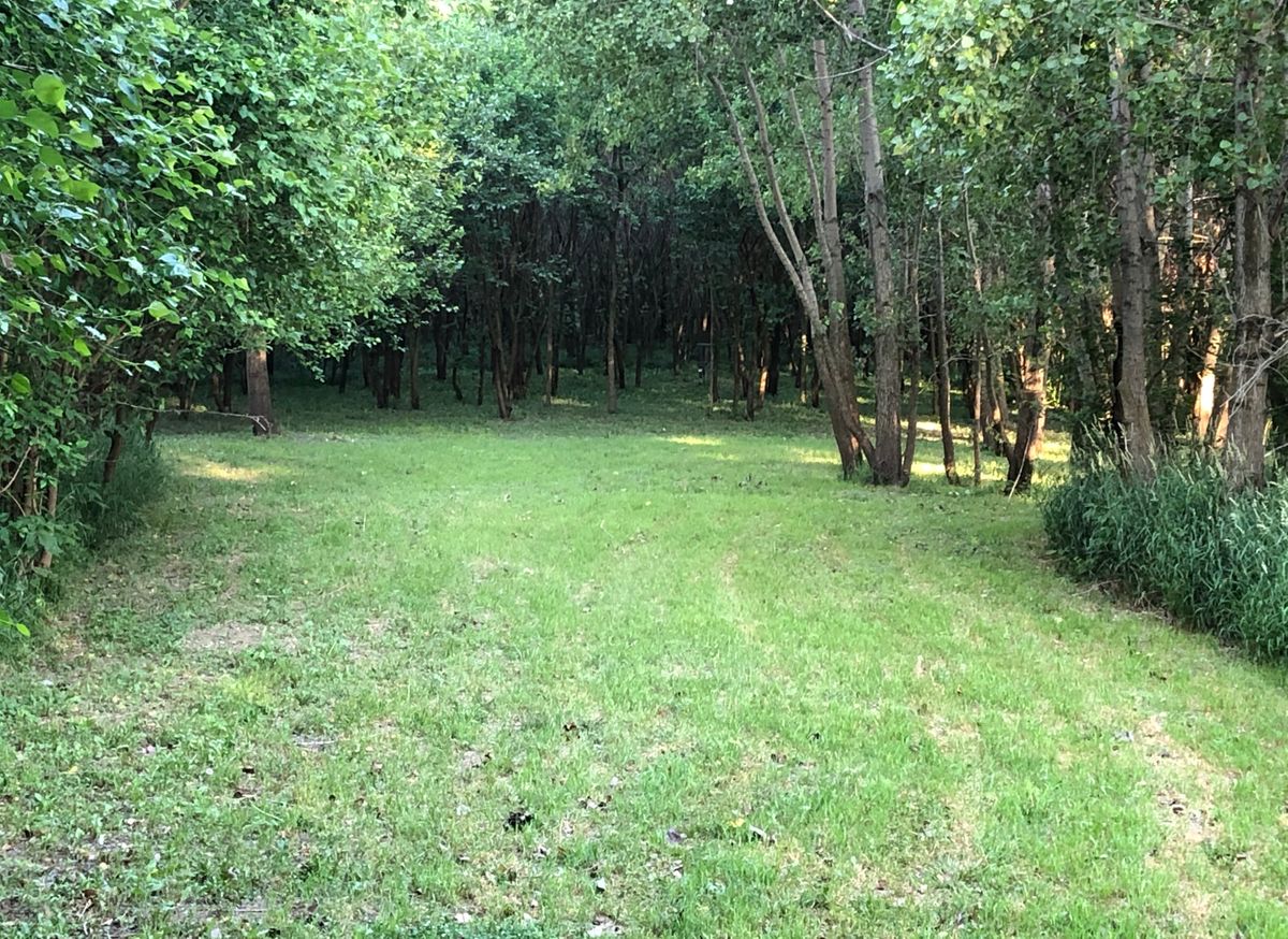 Hole 10 2020