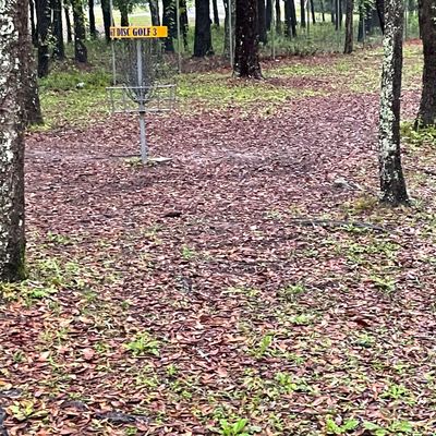 Nice woodsy area!