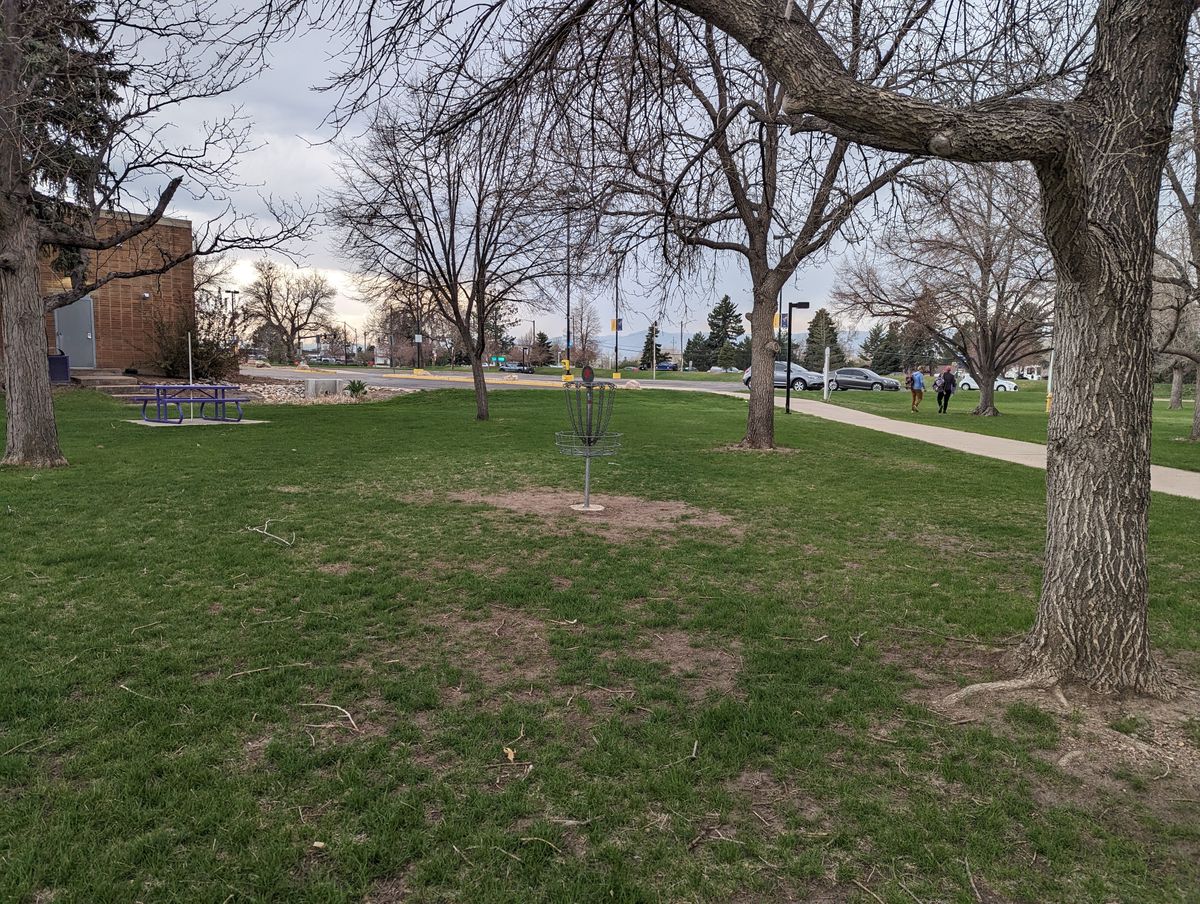 Hole 7 Basket