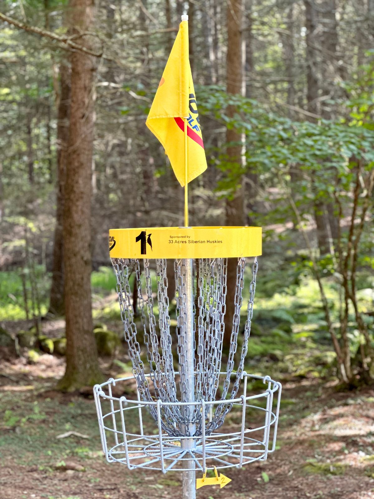 Hole 1 - Basket