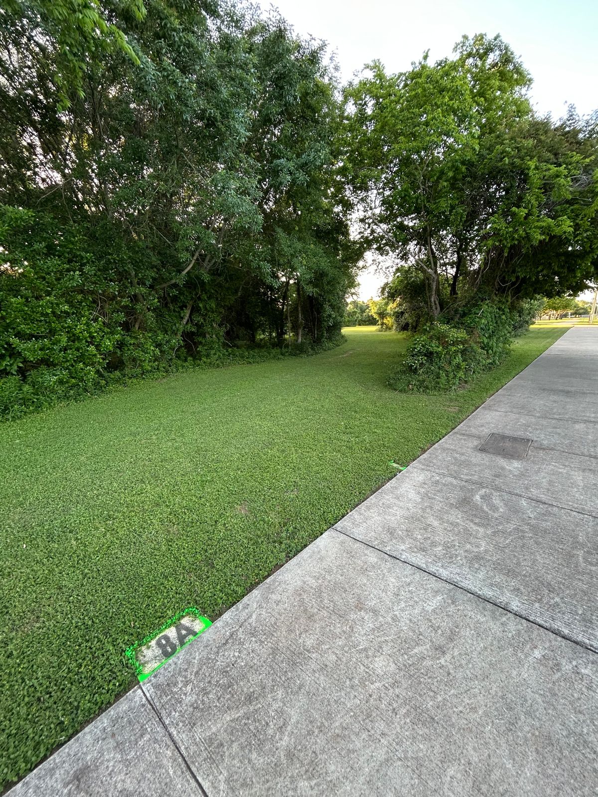 8A