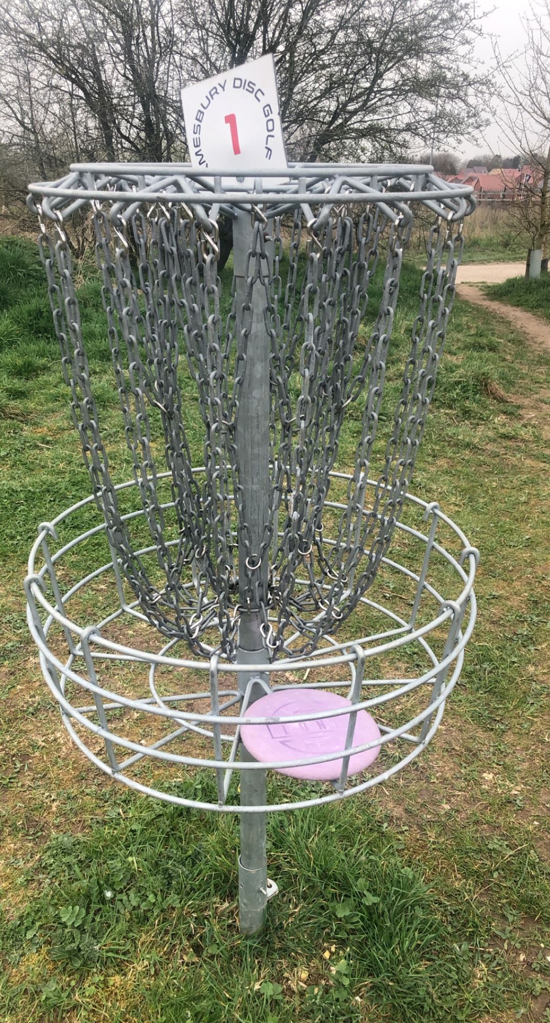 Ace on 1