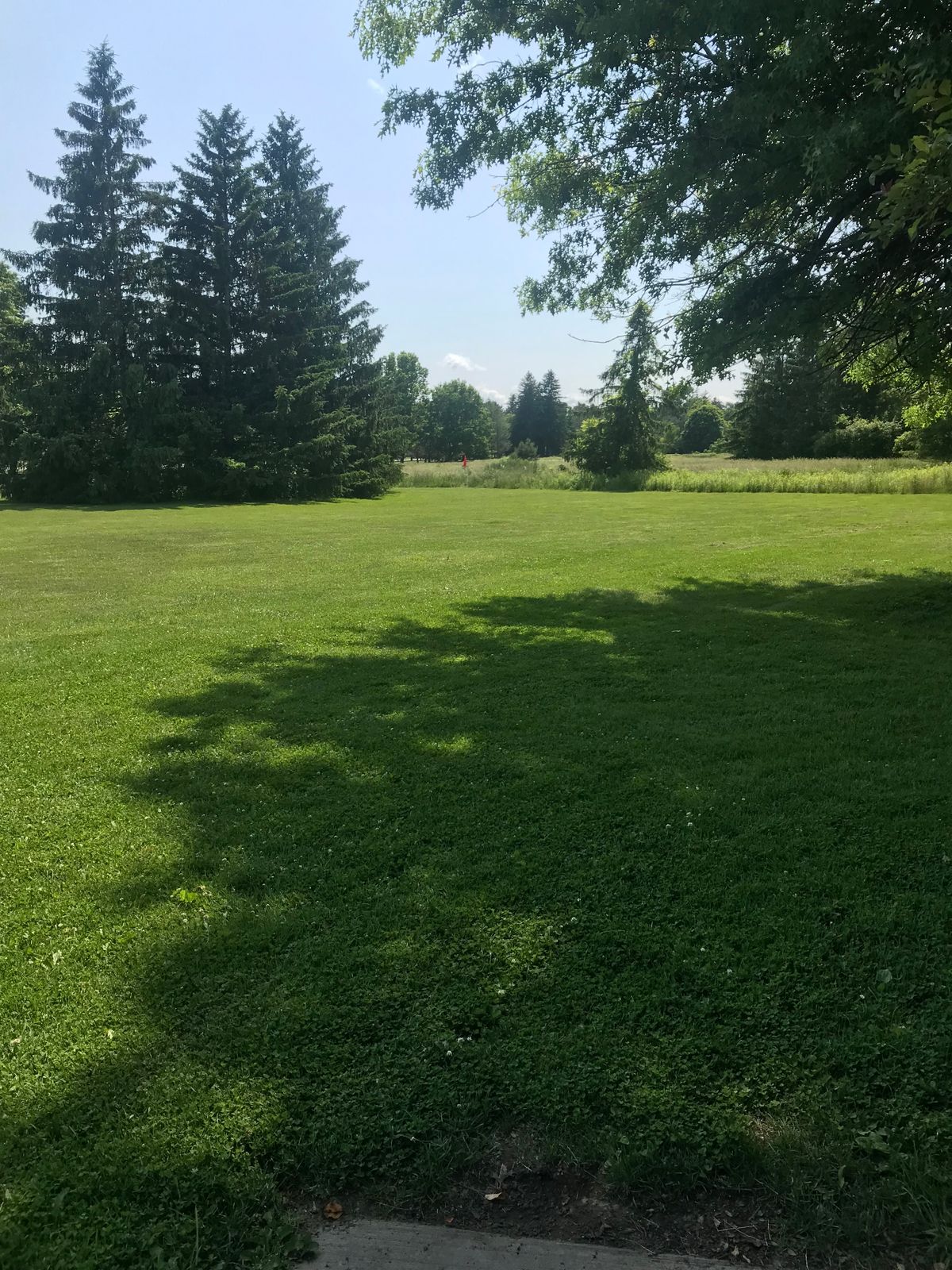 Hole 6