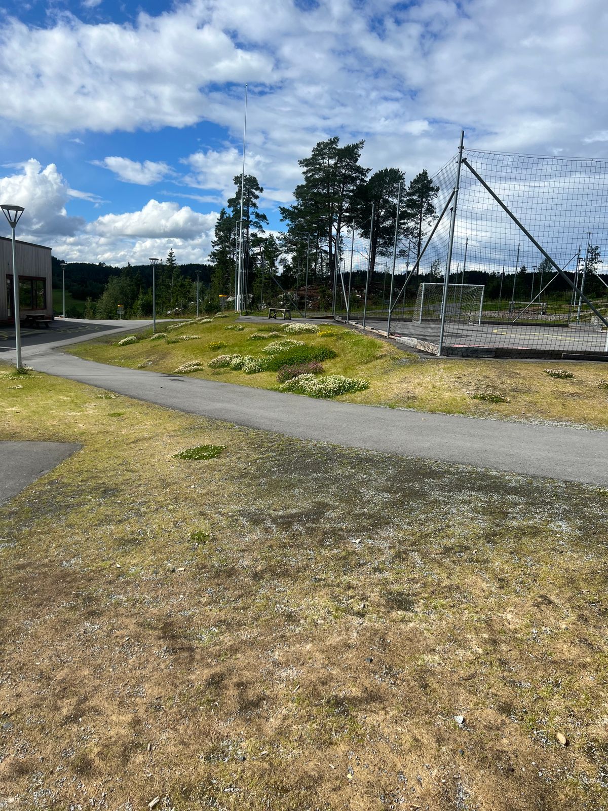 Utsikt tee 9