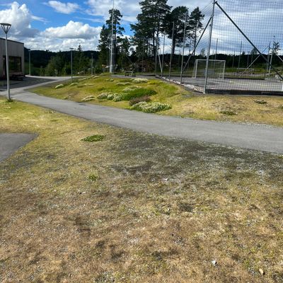 Utsikt tee 9