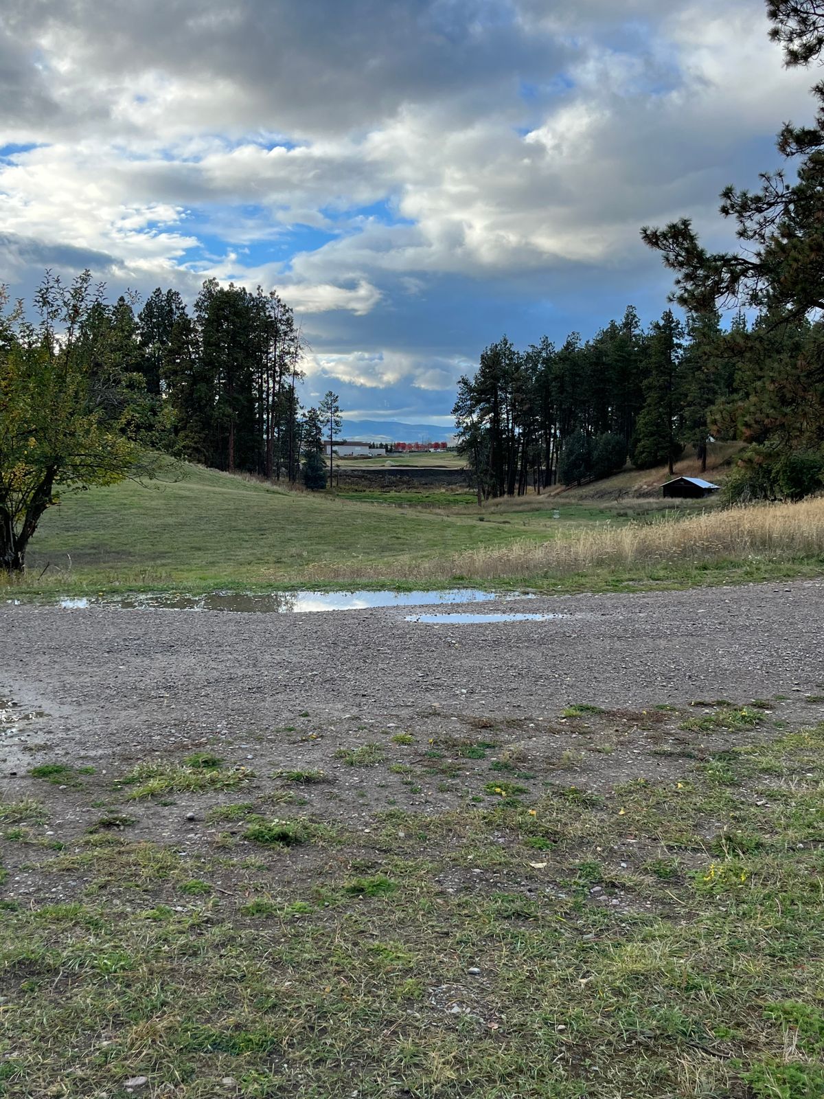 Hole 9