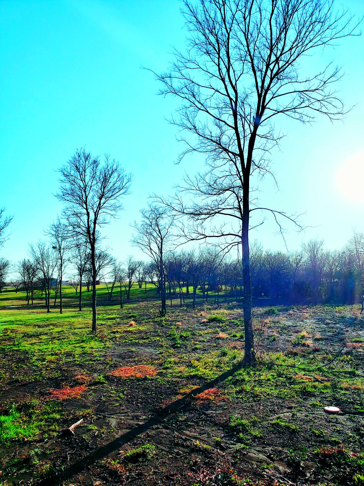 4th fairway.