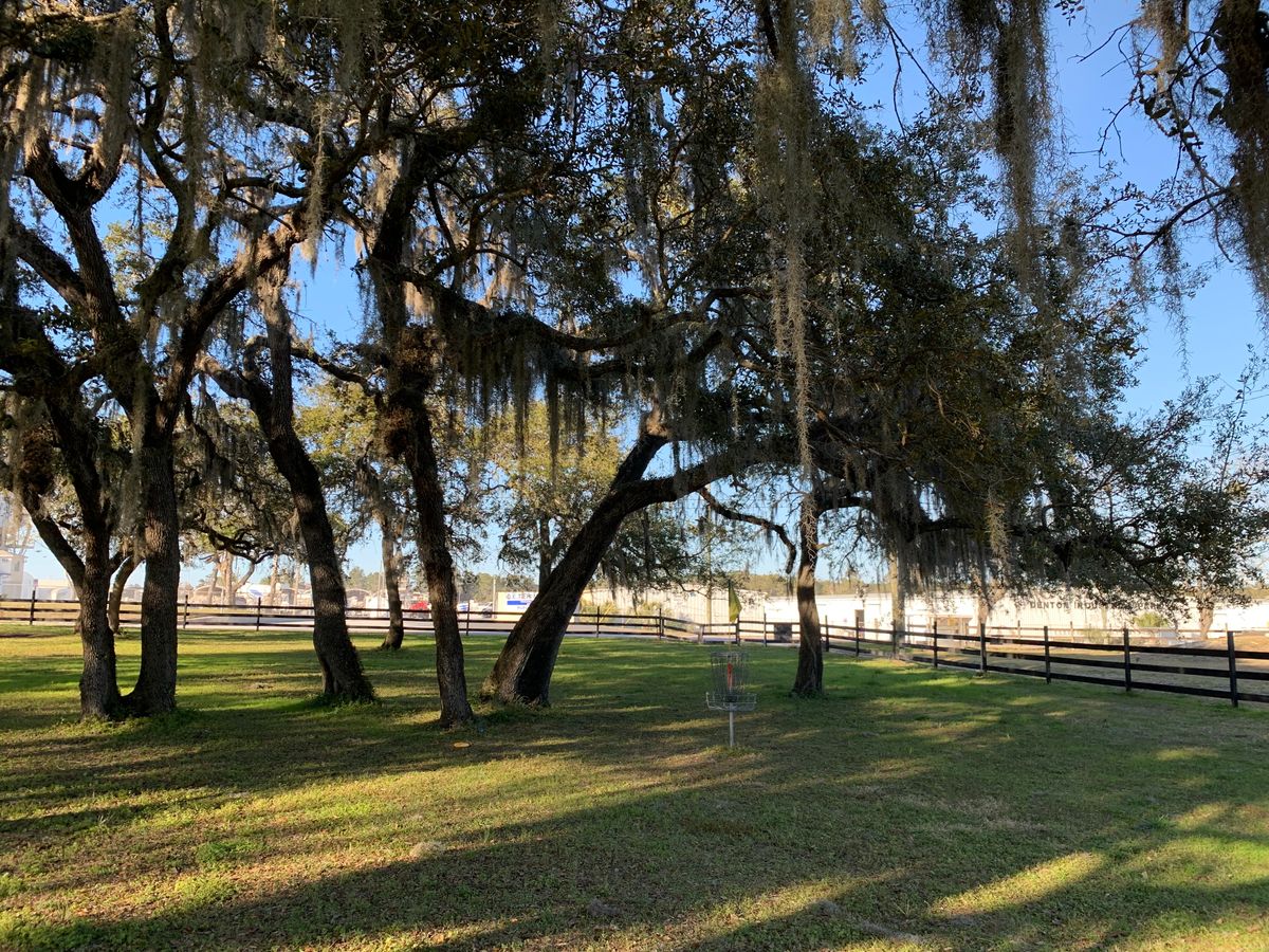 Hole 18 Short Basket
