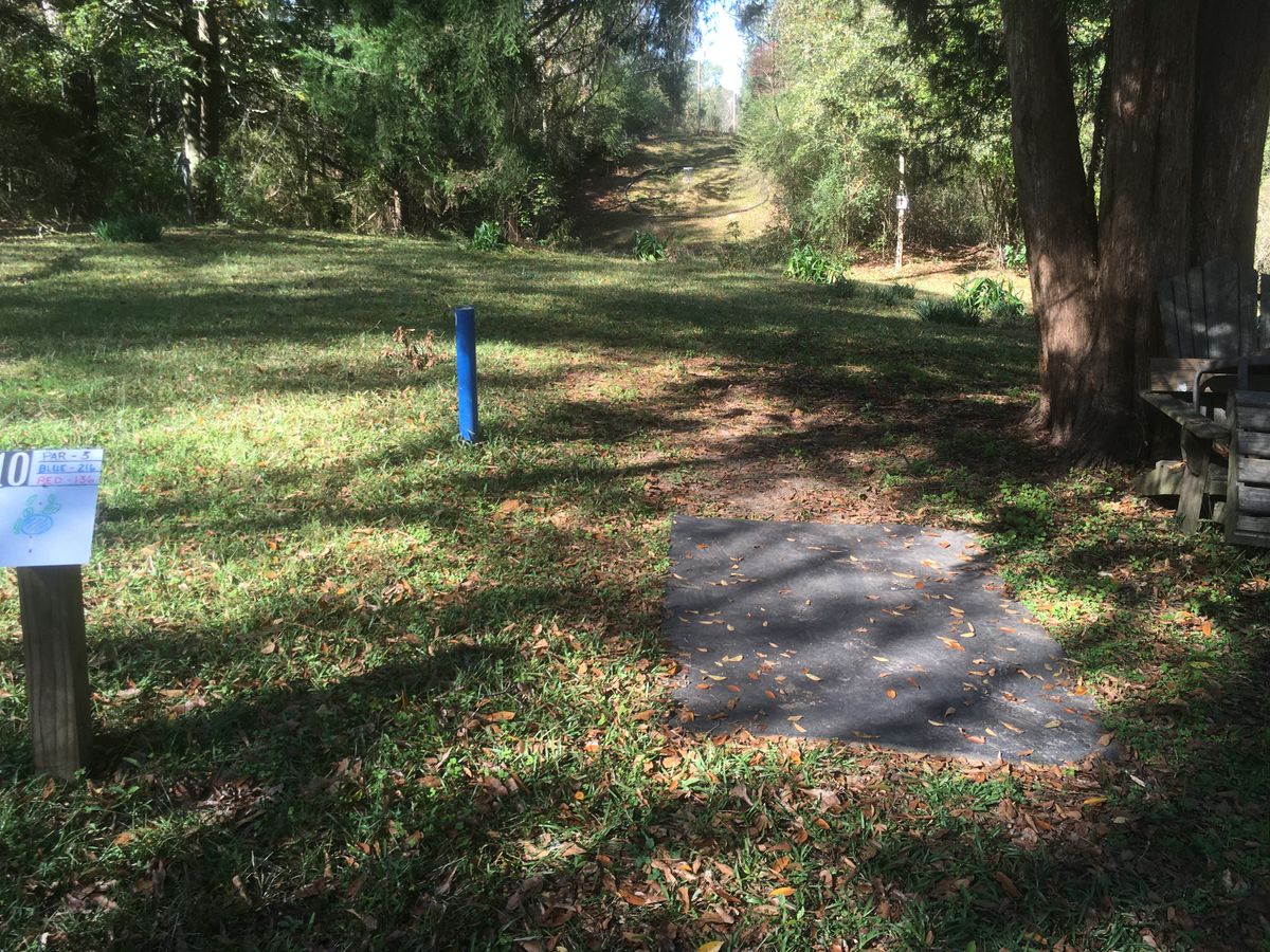Hole 10 Tee
(Island green in the clearing, water down the hill)