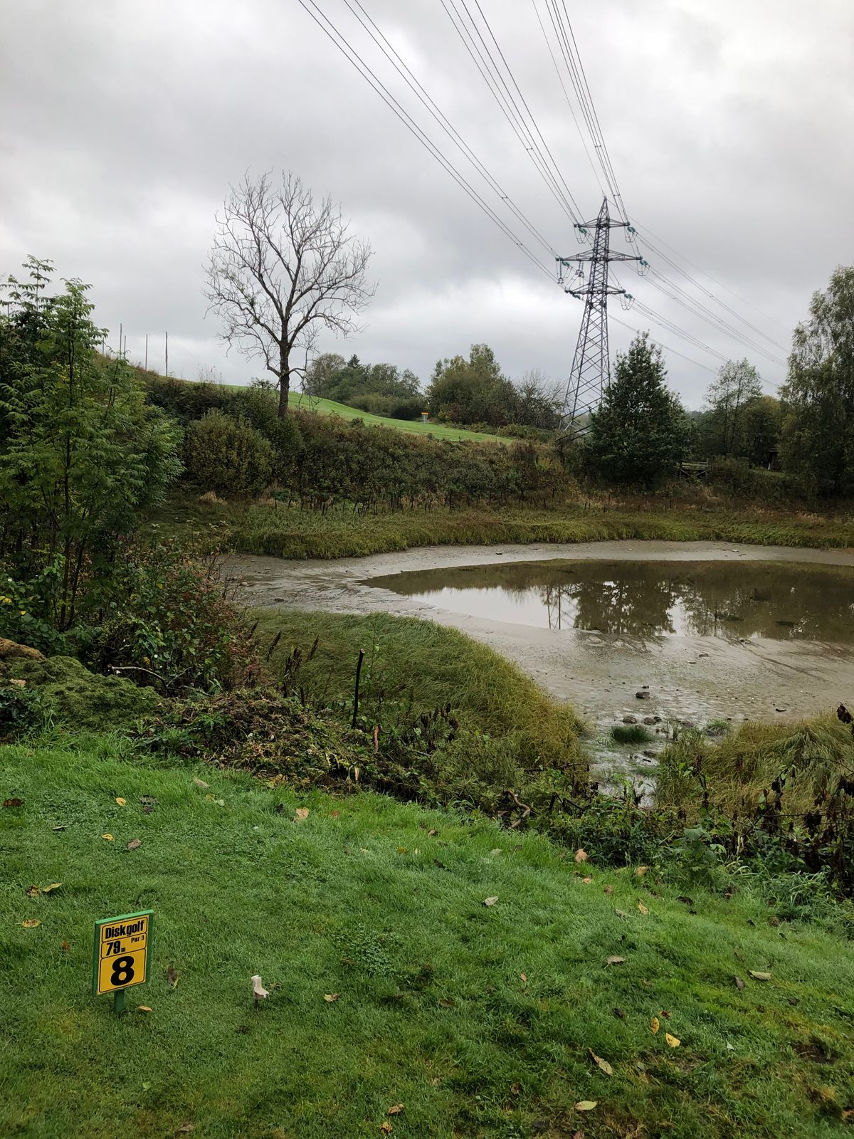 Hole 8