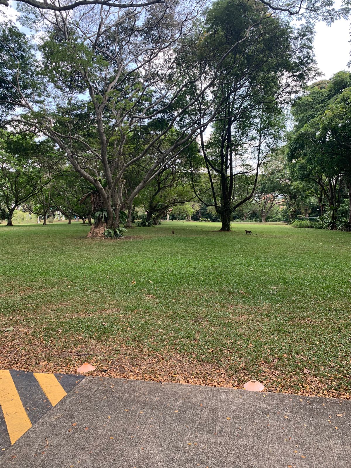 Hole 15 Tee
