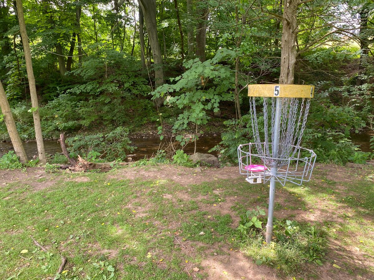 Basket #5 - near creek