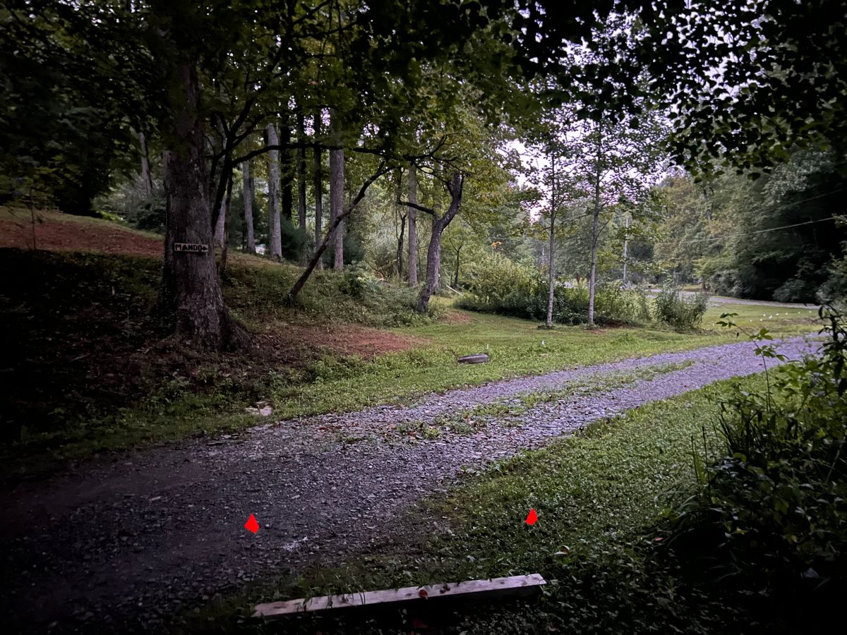 Hole 10 tee pad. Mando marked right of the big tree.