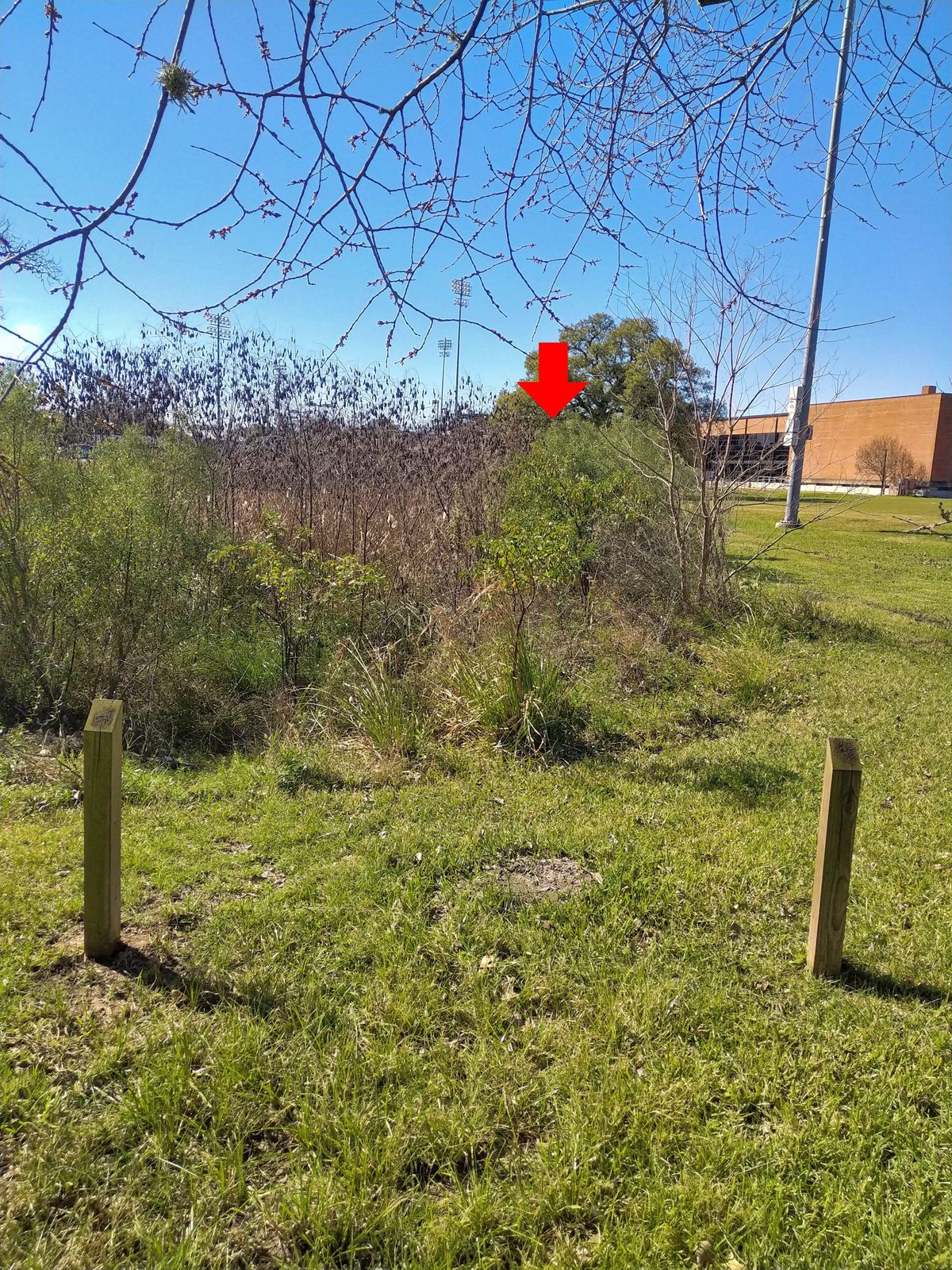 Hole 9 tee