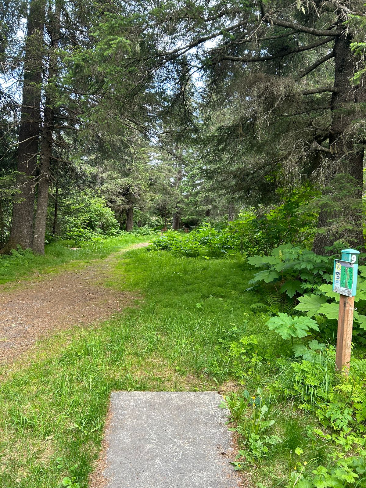 Hole 9 teepad and fairway, a simple, short, straight shot with a slight right finish