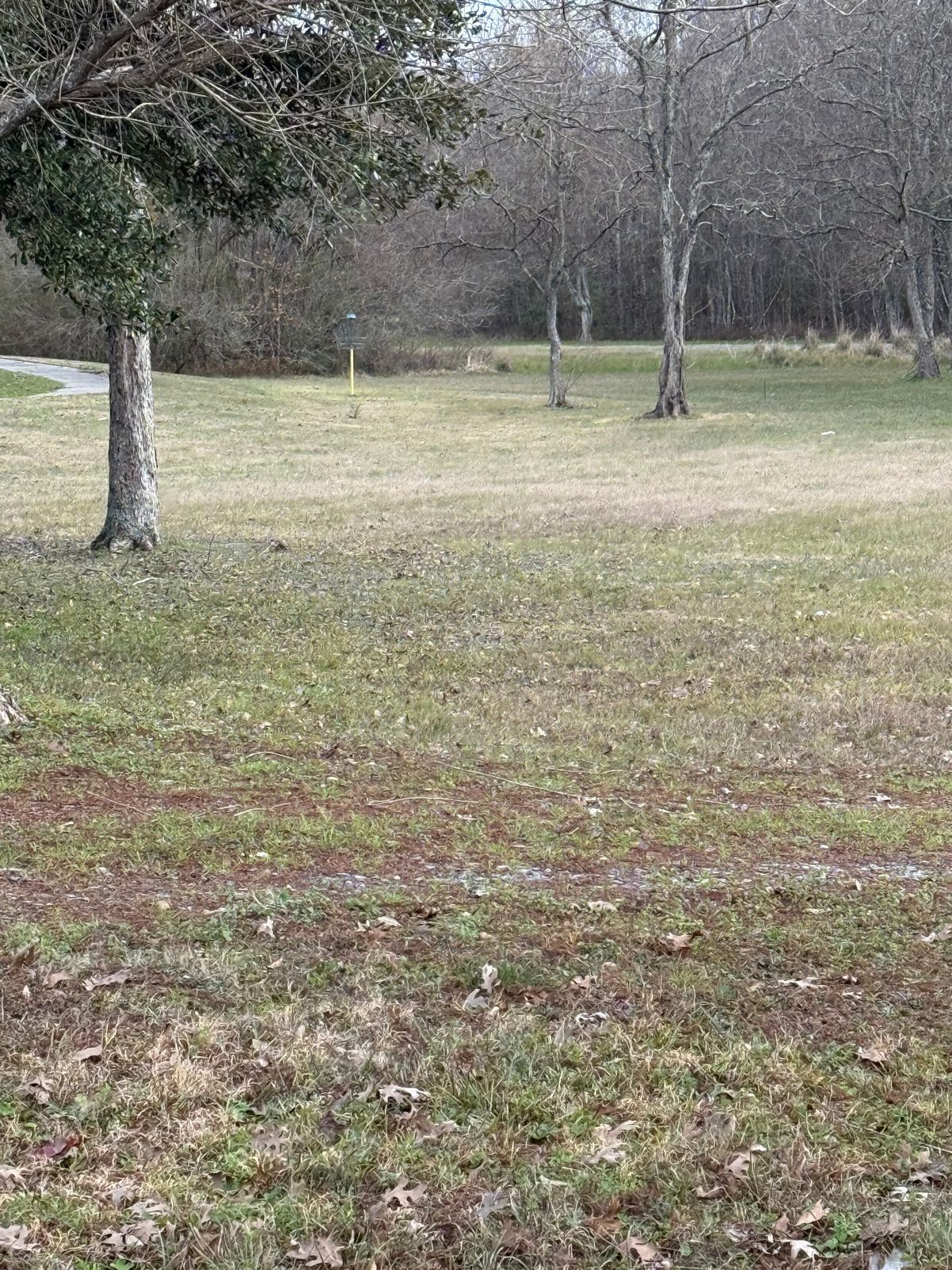 1 Fairway