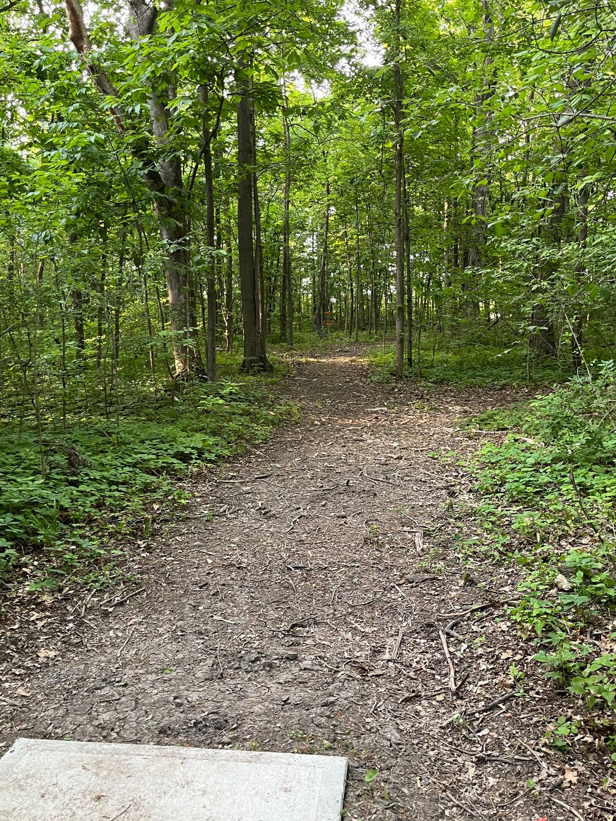 Hole 5