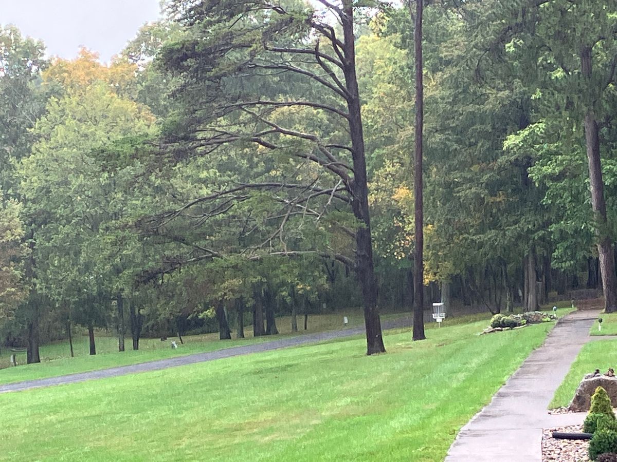 Hole 5