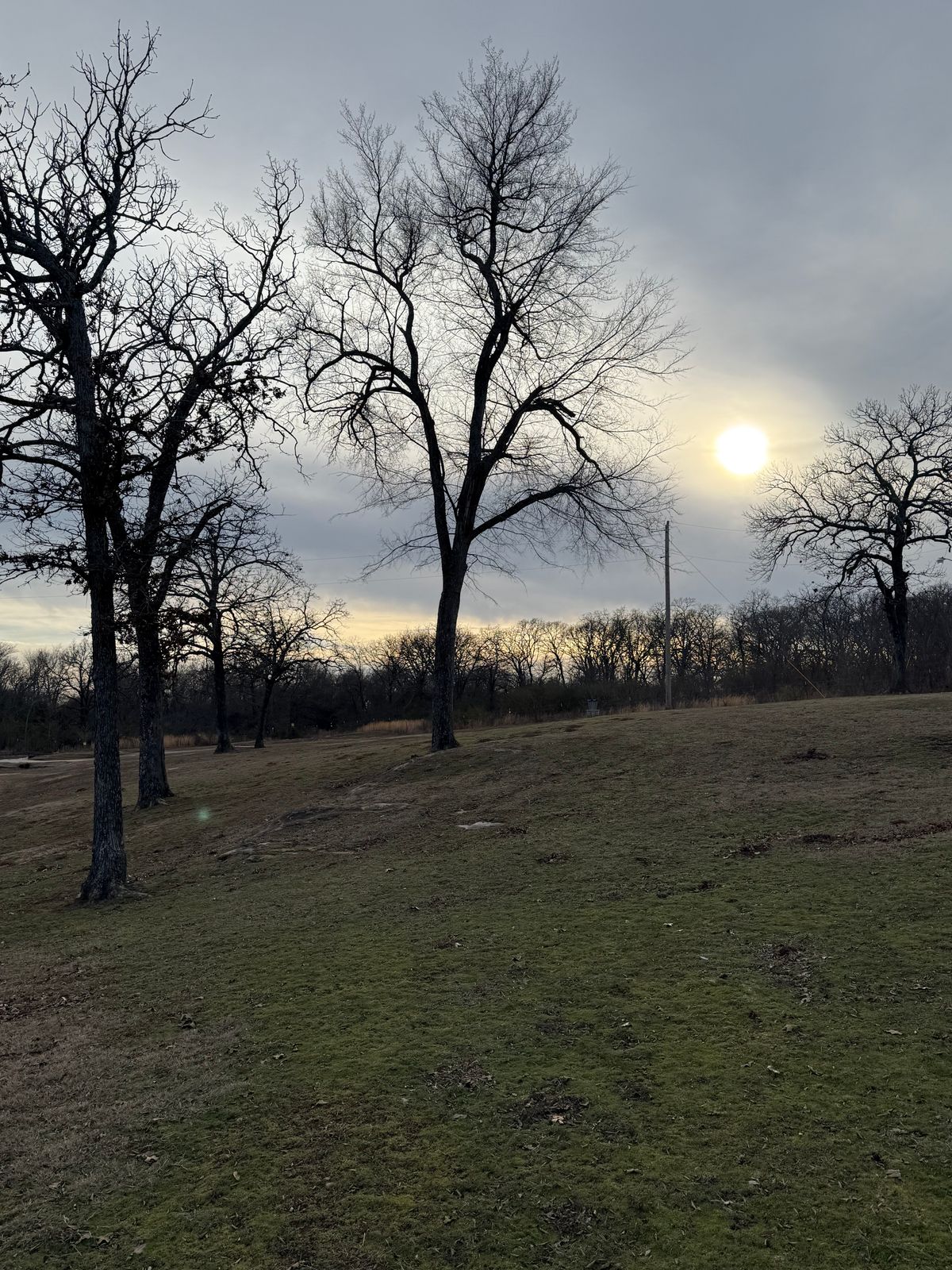Hole 4 fairway and (Longs) Basket
