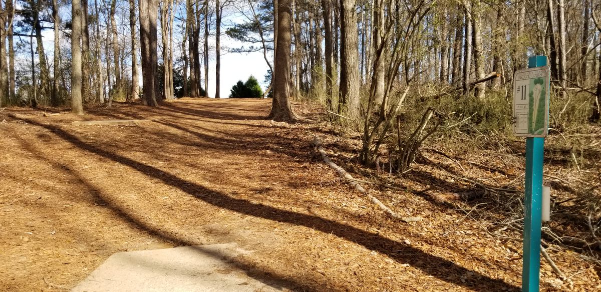 Hole 11 Tee Pads