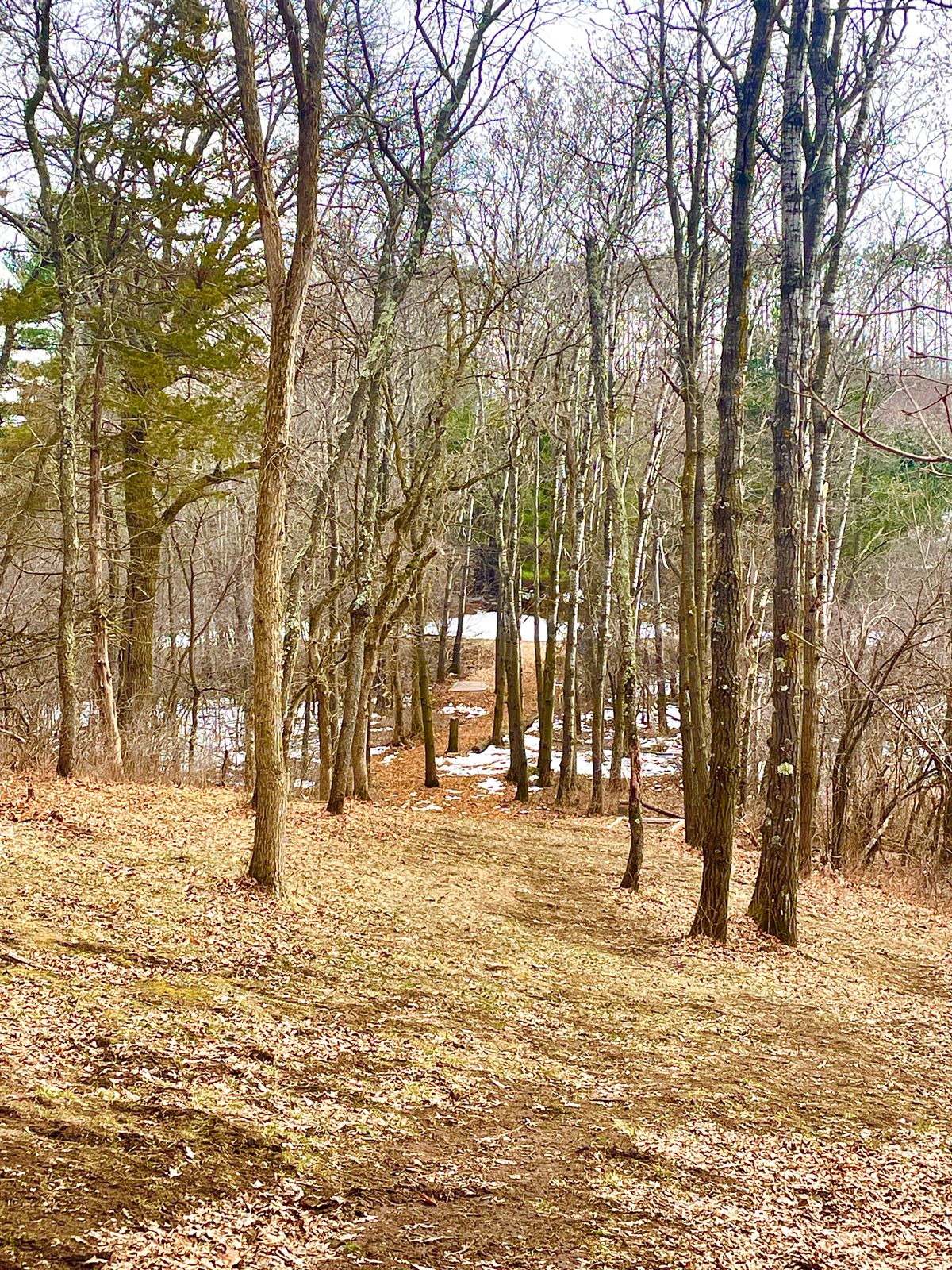 Looking back at the tee box of hole 12