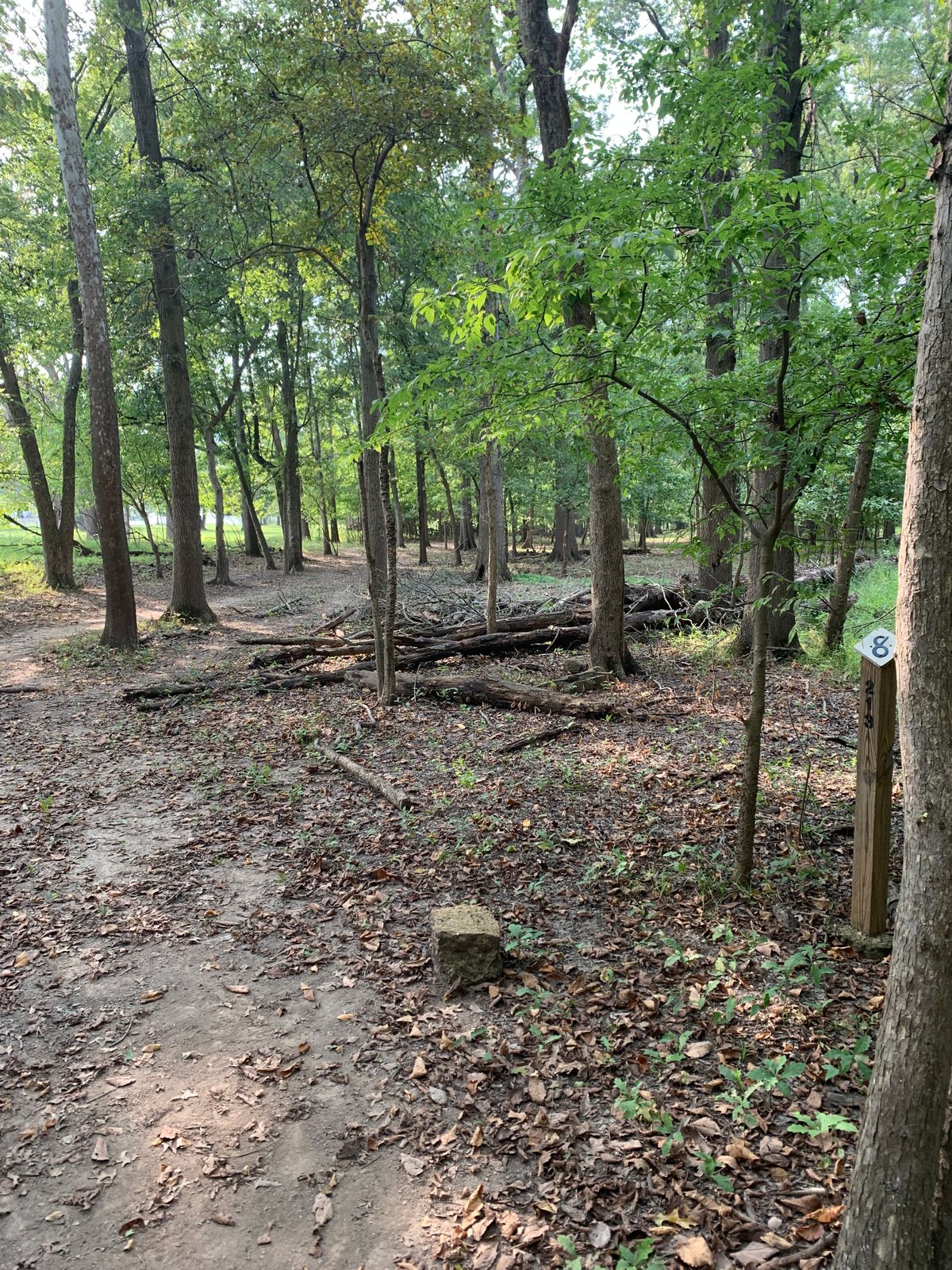 Hole 8 Main Tee