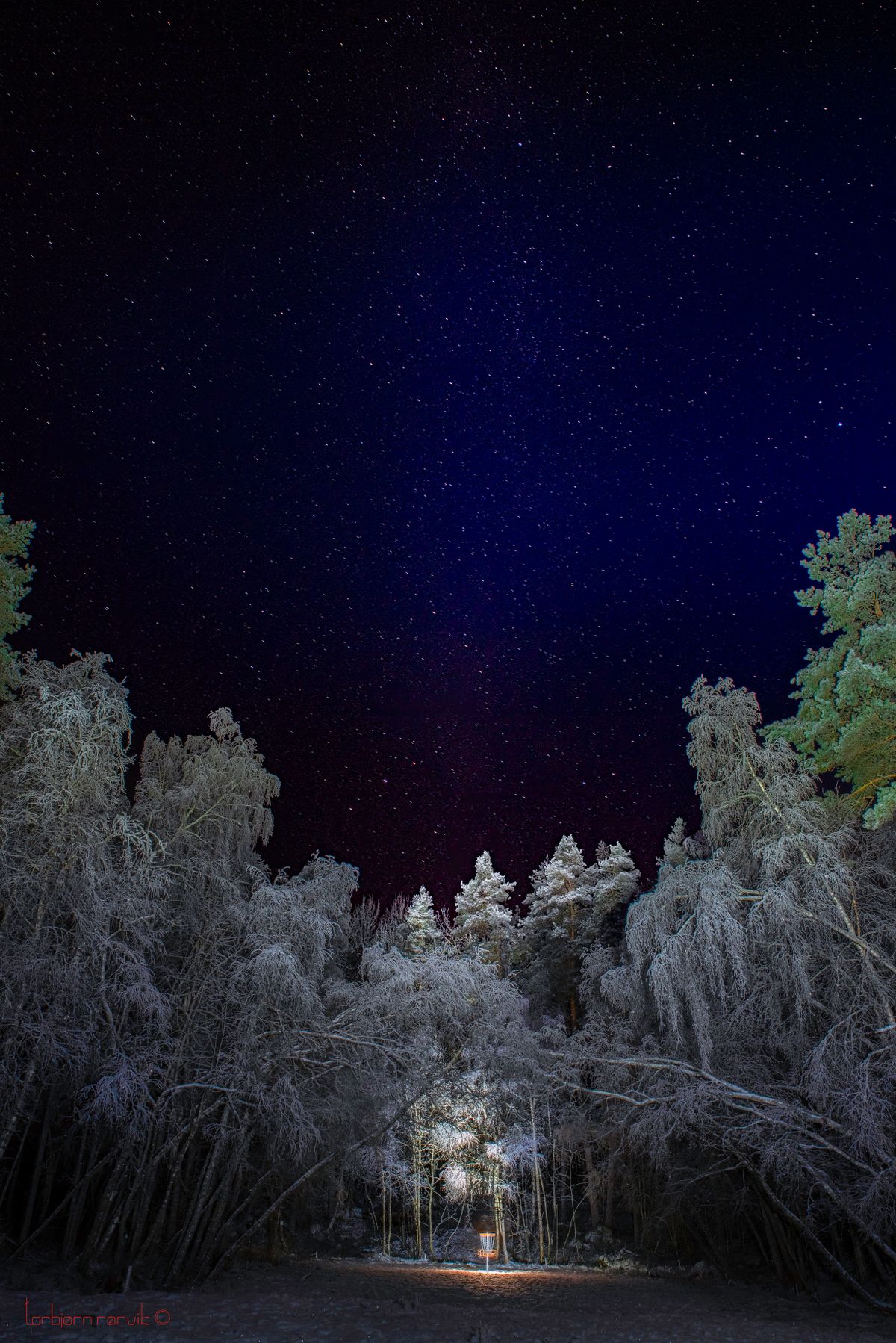 Julestemning ved greenen på hol 6.