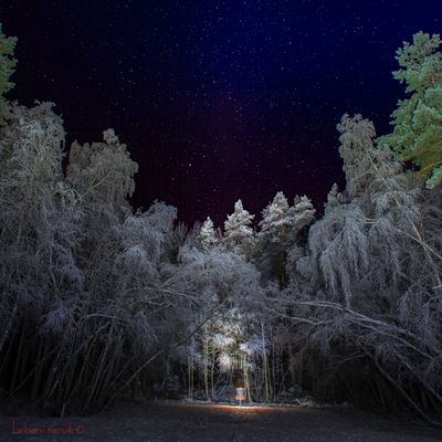 Julestemning ved greenen på hol 6.