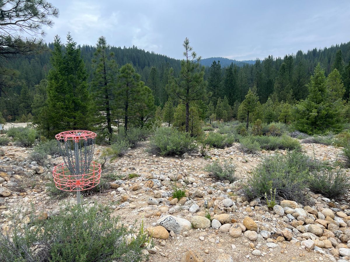 A lot of the front 9 contains elevation changes and looks like this.