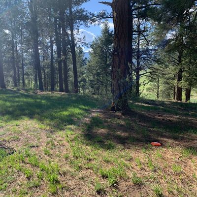 Hole 1