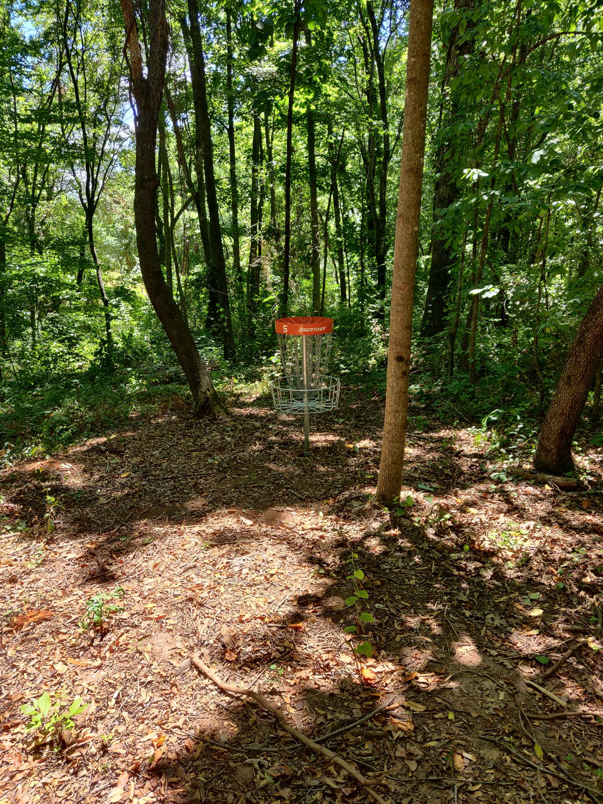 Hole 5 basket viewed from the Greenway.