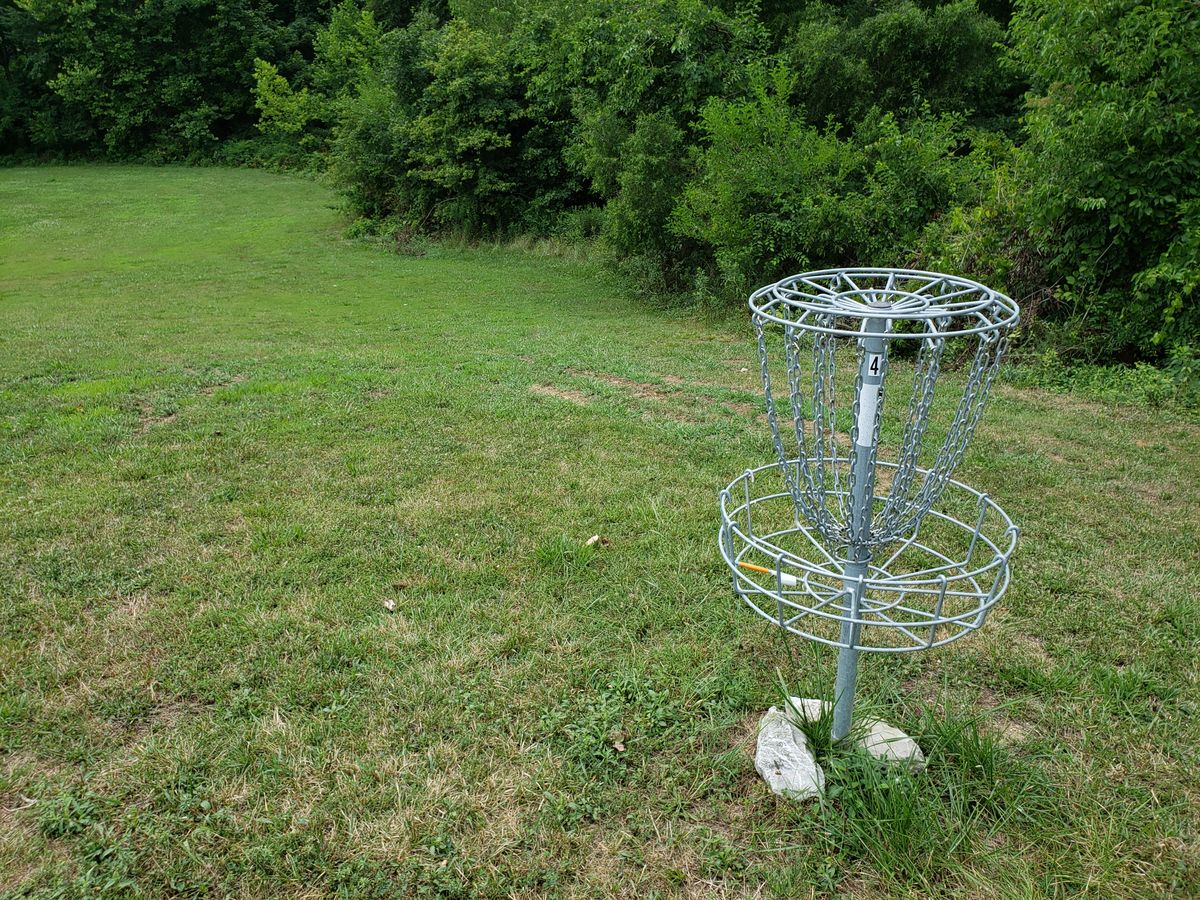 #4 Basket close up, looking sharply downhill.