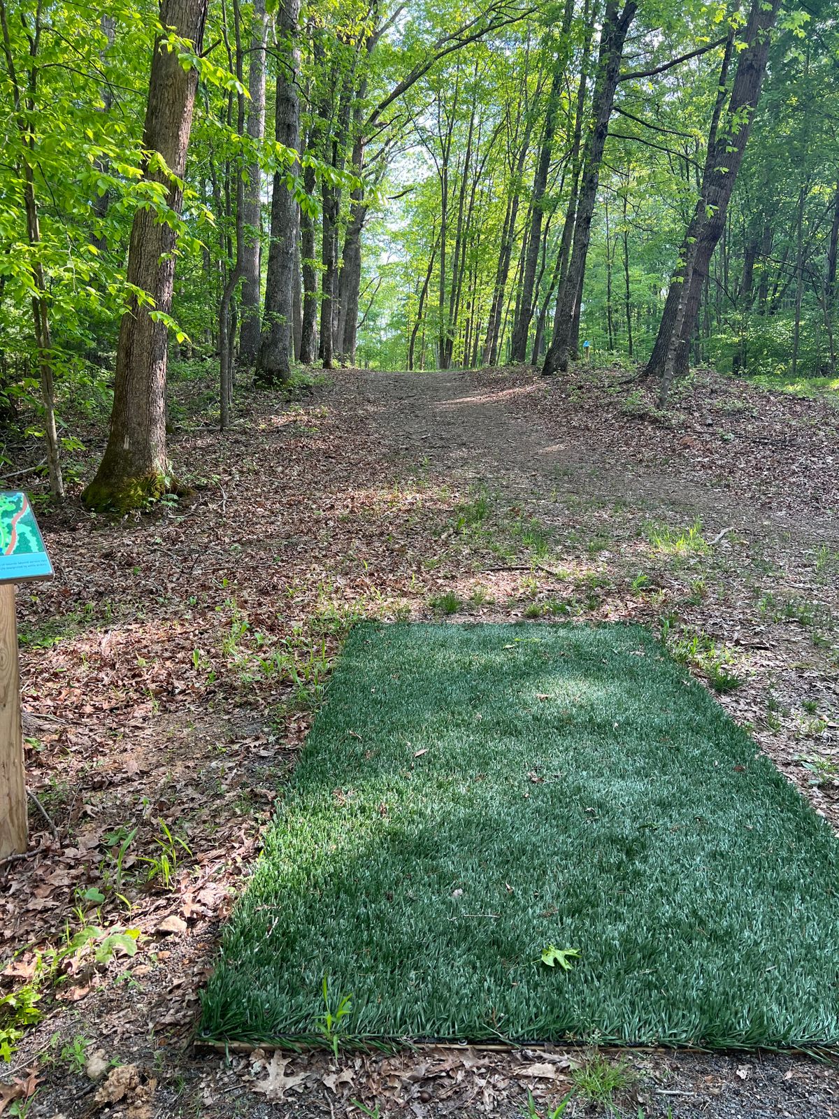 Hole 7 Blue Tee