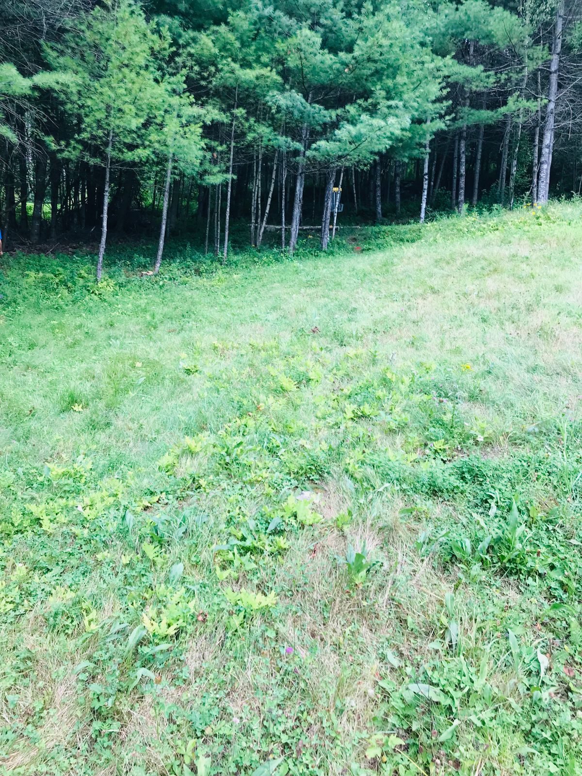 Hole #1