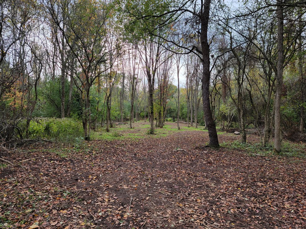 Hole 2 Blue