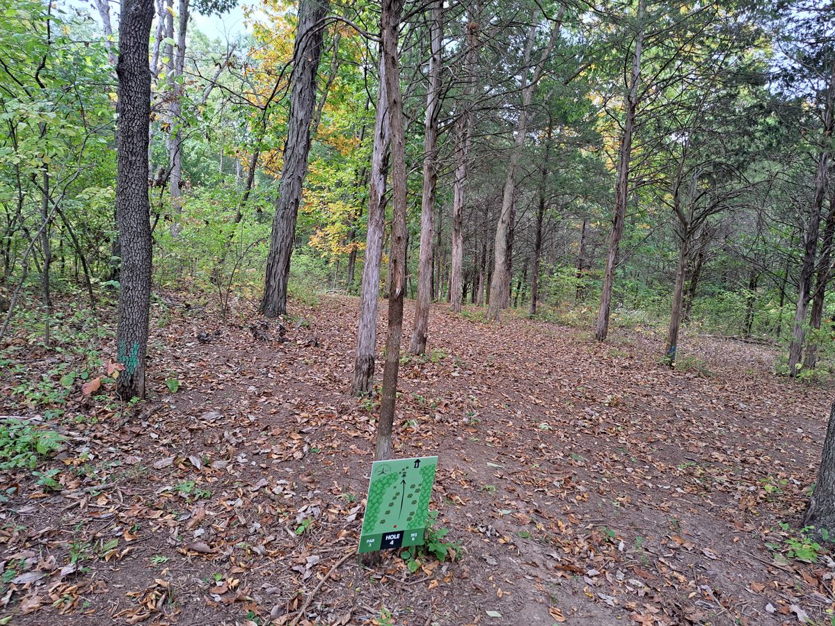 Hole 4